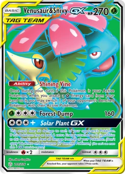Venusaur & Snivy GX